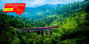 Sri lanka